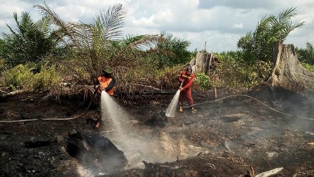 Gegara Kasus Riau, Kapolri Larang Polda Terbitkan SP3 Karhutla 